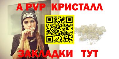амф Новокубанск