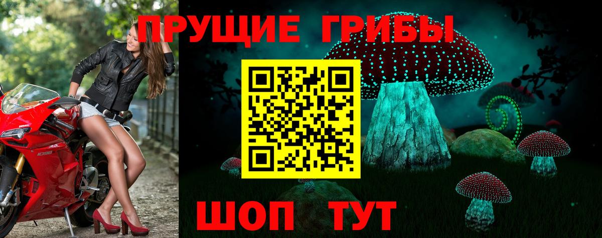 Троицк  Галлюциногенные грибы Cubensis  Вход с VPN  Псилоцибиновые грибы Psilocybine cubensis 