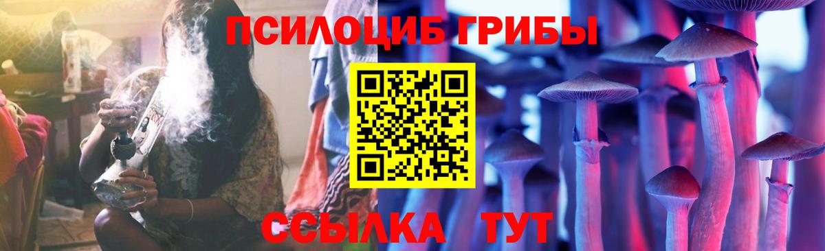 Галлюциногенные грибы GOLDEN TEACHER Троицк